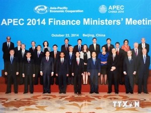Vietnam active at APEC finance ministers’ meeting - ảnh 2